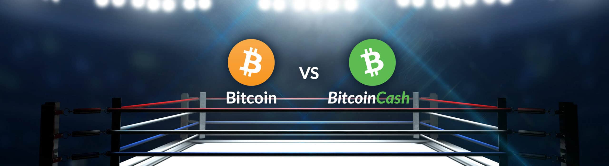 Bitcoin Cash vs Bitcoin: Can BCH make up ground in 2021?