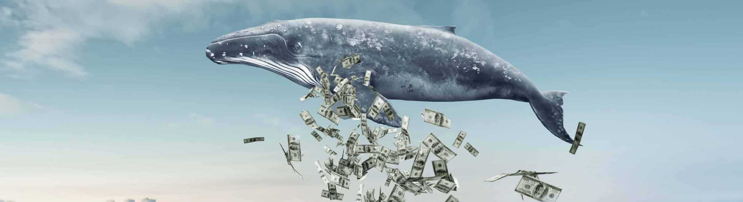 How crypto whales affect the Bitcoin price