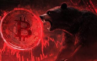 BEER BEAR: The Token Smashing Scams and Pouring Opportunities