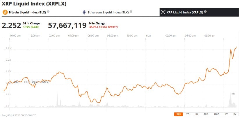 XRP Price Rises Despite Whale Activity