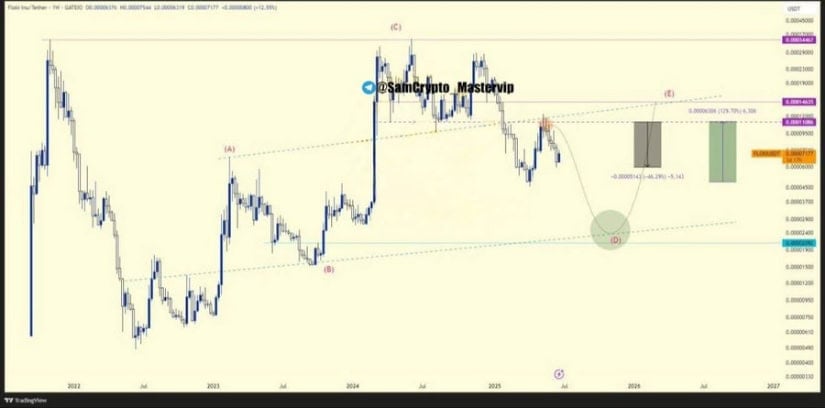 Elliott Wave Structure and Investor Roadmap