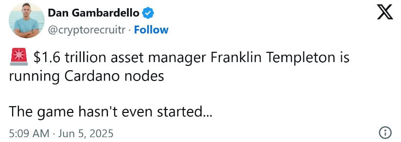 Dan Gambardello