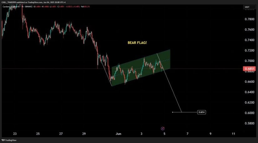 Chill Trader