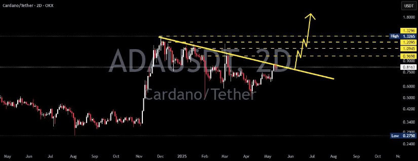 Dynamite Trader