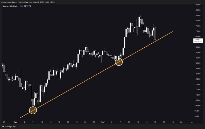 Coinvo