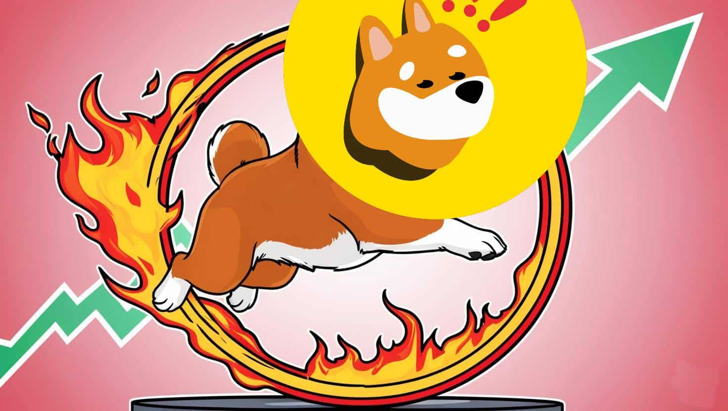 BONK Price Prediction: BONK Targets $0.000025 Breakout as Meme Coin Momentum Builds on Solana