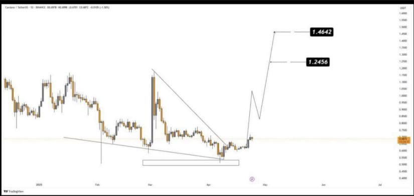 Cardano Price Pridiction: Bulls Aiming Beyond $1.00