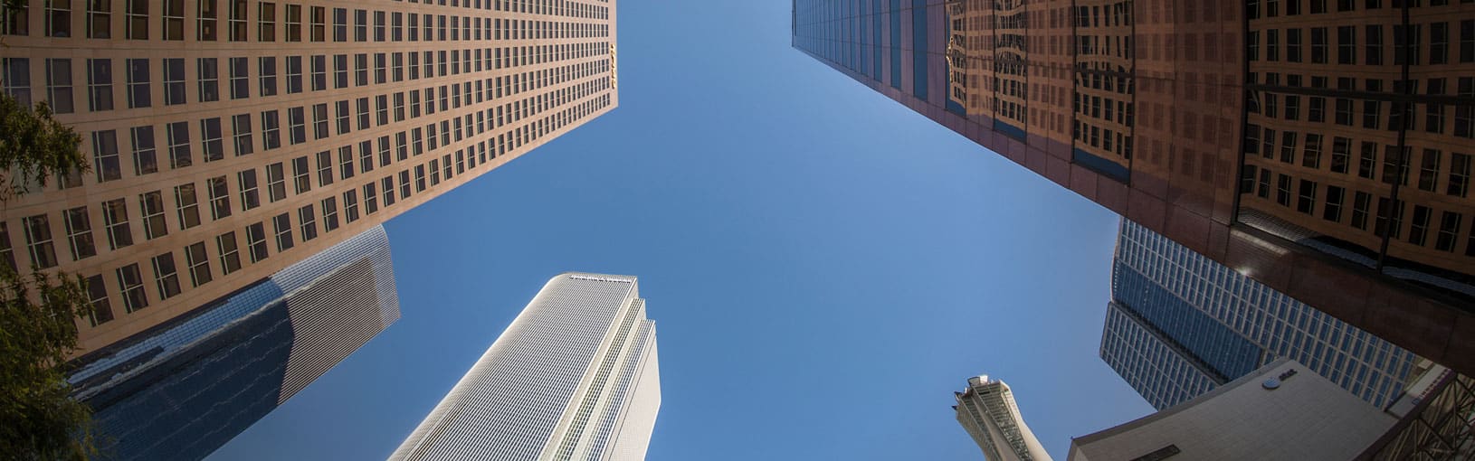 The future of the firm