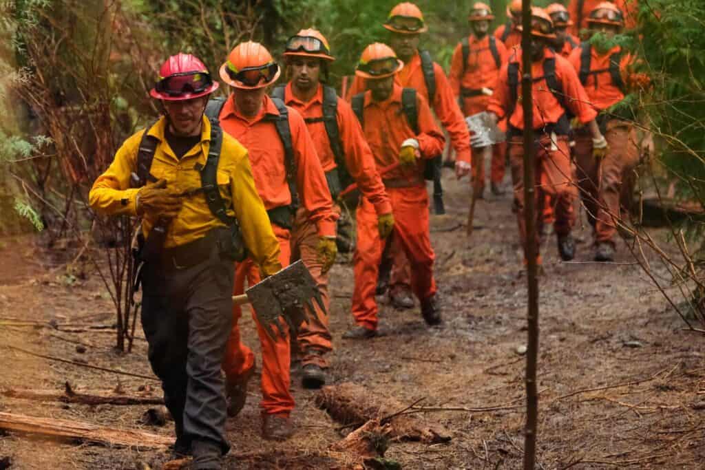 Fire Country
