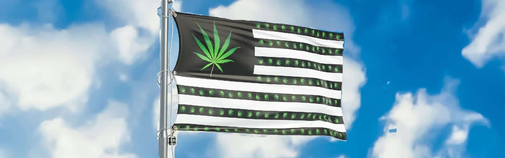 Easing of US marijuana laws propels crypto cannabis infrastructure