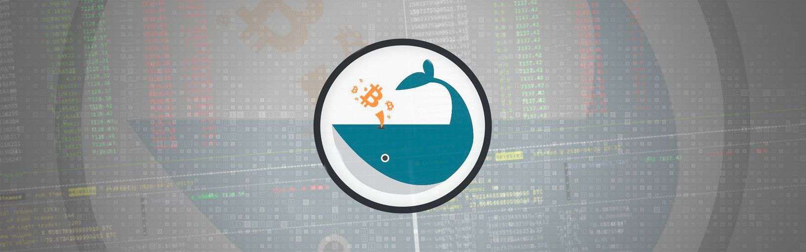 Whalepool script may identify fake volume on crypto exchanges